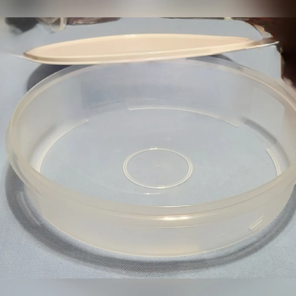 Tupperware Large Round Container Klien Blue